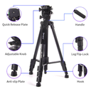 Jmary KP-2599 Professional Camera Tripod Stand