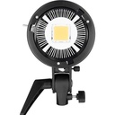 GODOX SL60W